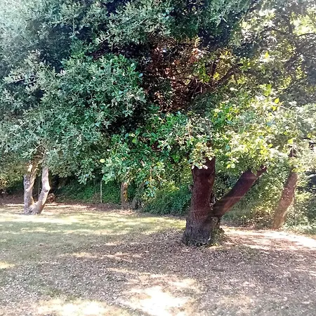 Maison De Vacance A La *