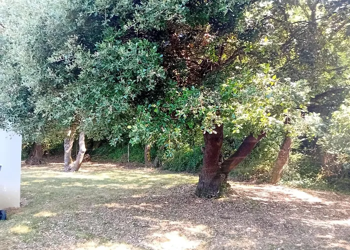 Maison De Vacance A La *